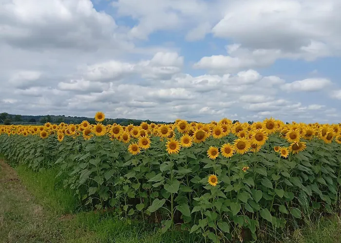 A Pillole Landhuis *