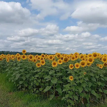 A Pillole Hétvégi ház *